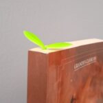 Little Green Bookmark